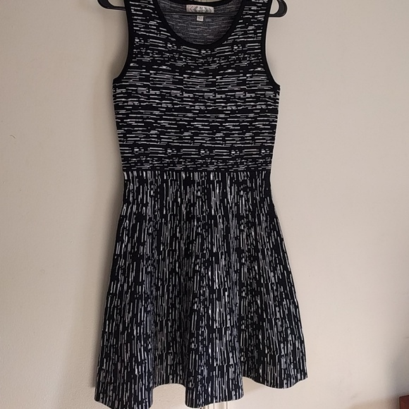 *5 for $20* Pink Rose skater dress - Picture 4 of 6